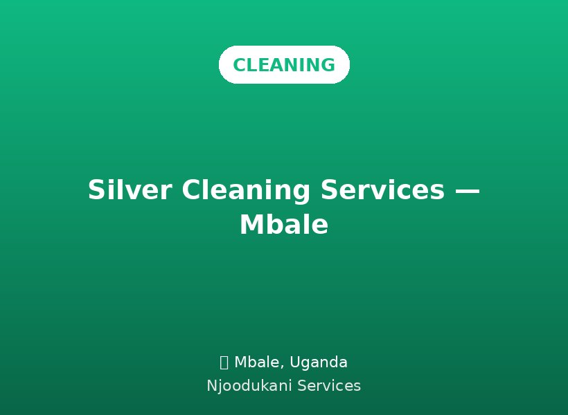 Silver Cleaning Services — Mbale