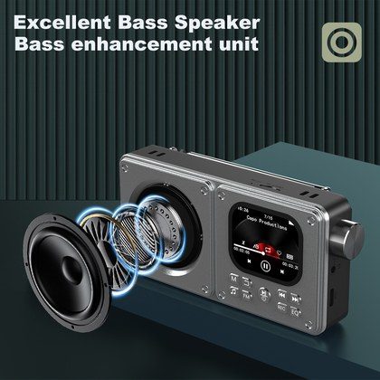 Professional MP3MP4 Radio Bluetooth Speaker Portable Multimedia Player