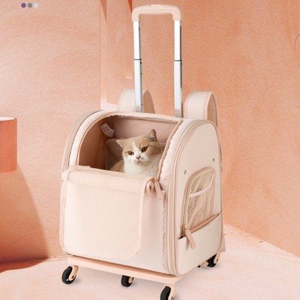 Japan-Korea Pet Carrier With Wheels, Portable And Large Capacity For Outings