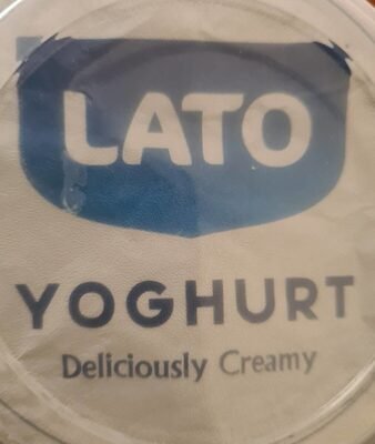 LATO Whole Milk Yogurt